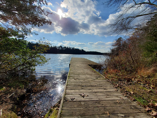 Community Park «Wells Mills County Park», reviews and photos, 905 Wells Mills Rd, Waretown, NJ 08758, USA