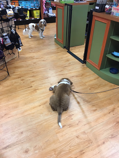 Pet Supply Store «EarthWise Pet Supply & Grooming», reviews and photos, 245 Fries Mill Rd, Blackwood, NJ 08012, USA