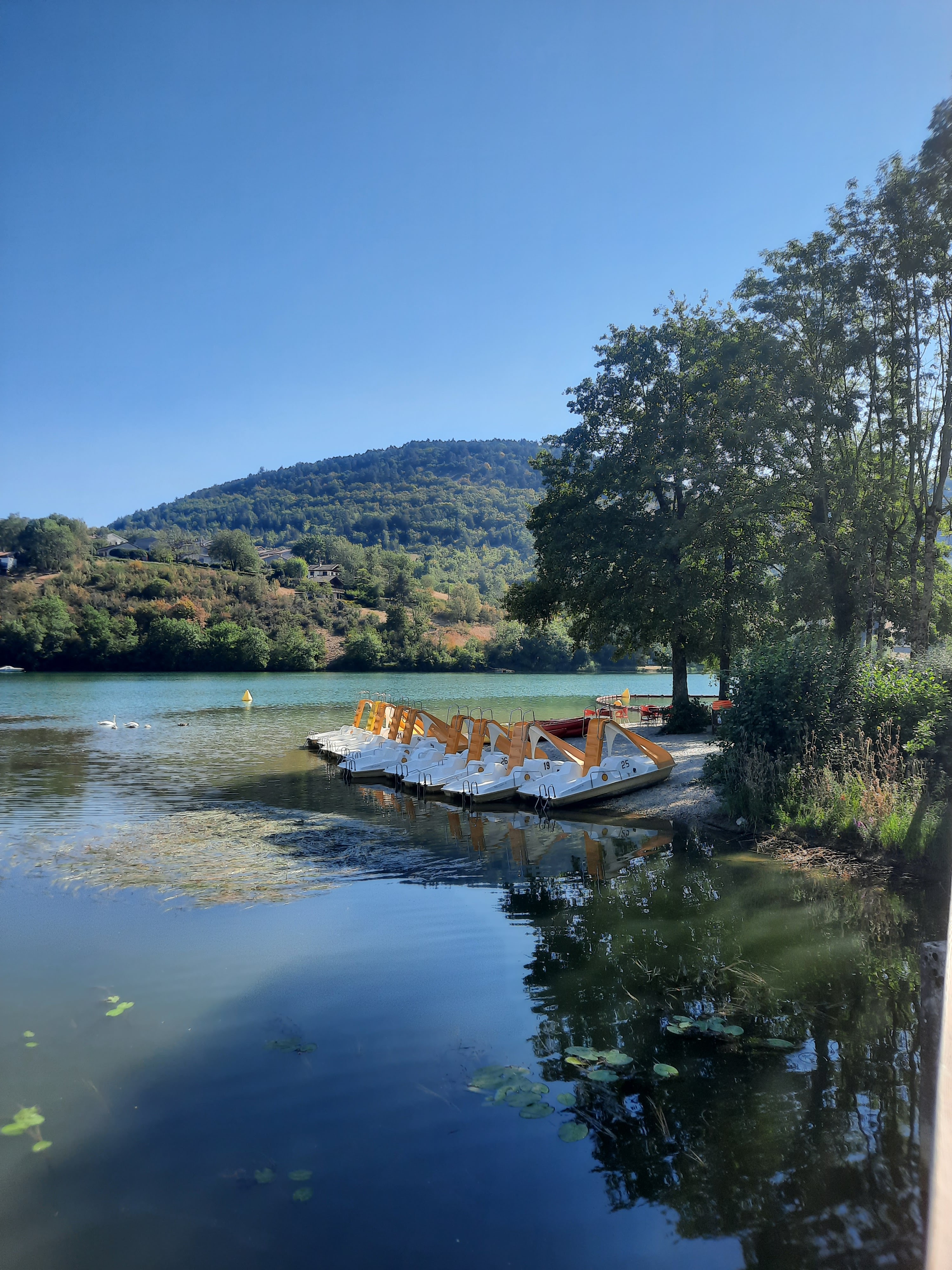 Photo n° 5 de l'avis de Pascale.I fait le 11/08/2022 à 16:48