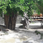 Photo n°17 de l'avis de Mr.a fait le 30/04/2019 à 04:30 sur le  Parco Zoo Falconara Srl à Falconara Marittima