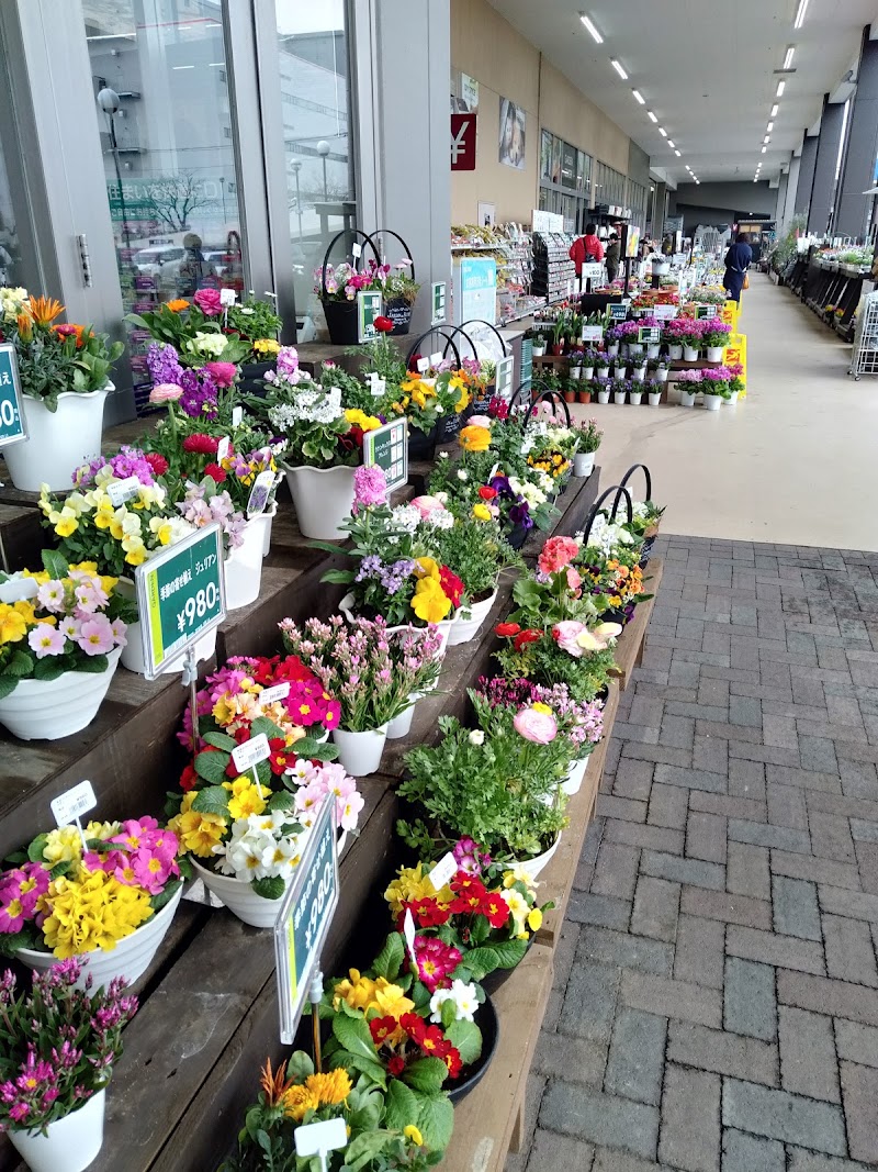 カインズりんかんモール店 神奈川県大和市中央林間 ホームセンター ホームセンター グルコミ