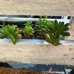 Photo n°9 de l'avis de Nataliia.o fait le 11/11/2022 à 09:47 sur le  Caffetteria Aurora à Carate Urio