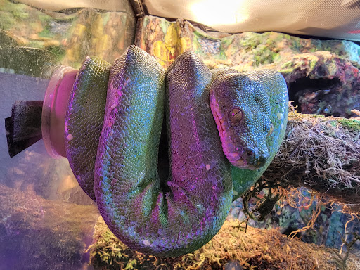 Pet Store «The Pet Works», reviews and photos, 407 4th Ave E, Olympia, WA 98501, USA