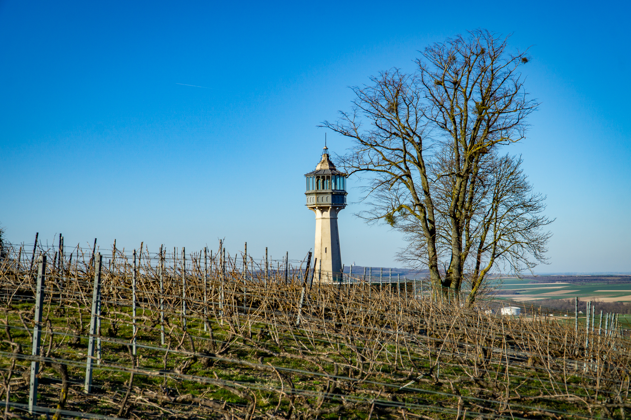 Photo n° 12 de l'avis de Franck.i fait le 28/02/2022 à 12:32