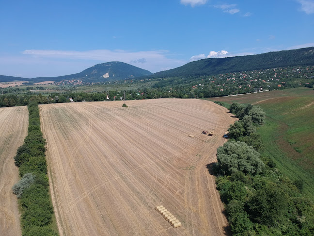 Értékelések erről a helyről: Pilisszántó, Placskó, Pilisszántó - Szórakozóhely