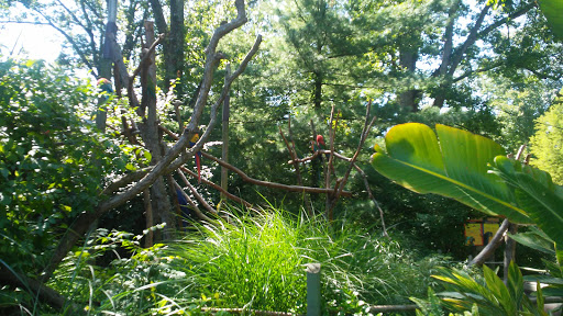 Zoo «Catoctin Wildlife Preserve and Zoo», reviews and photos, 13019 Catoctin Furnace Rd, Thurmont, MD 21788, USA