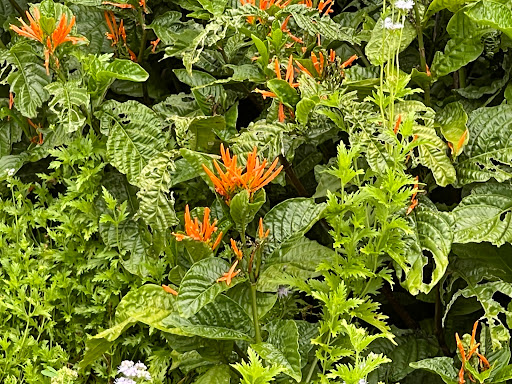 Golf Course «Glenbrook Park Golf Course», reviews and photos, 8205 N Bayou Dr, Houston, TX 77017, USA