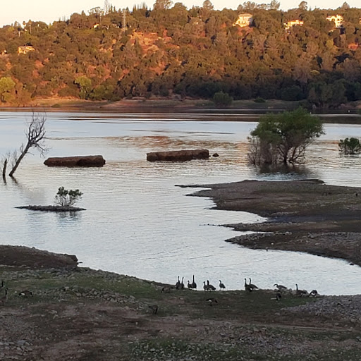 Avery’s Pond Trailhead