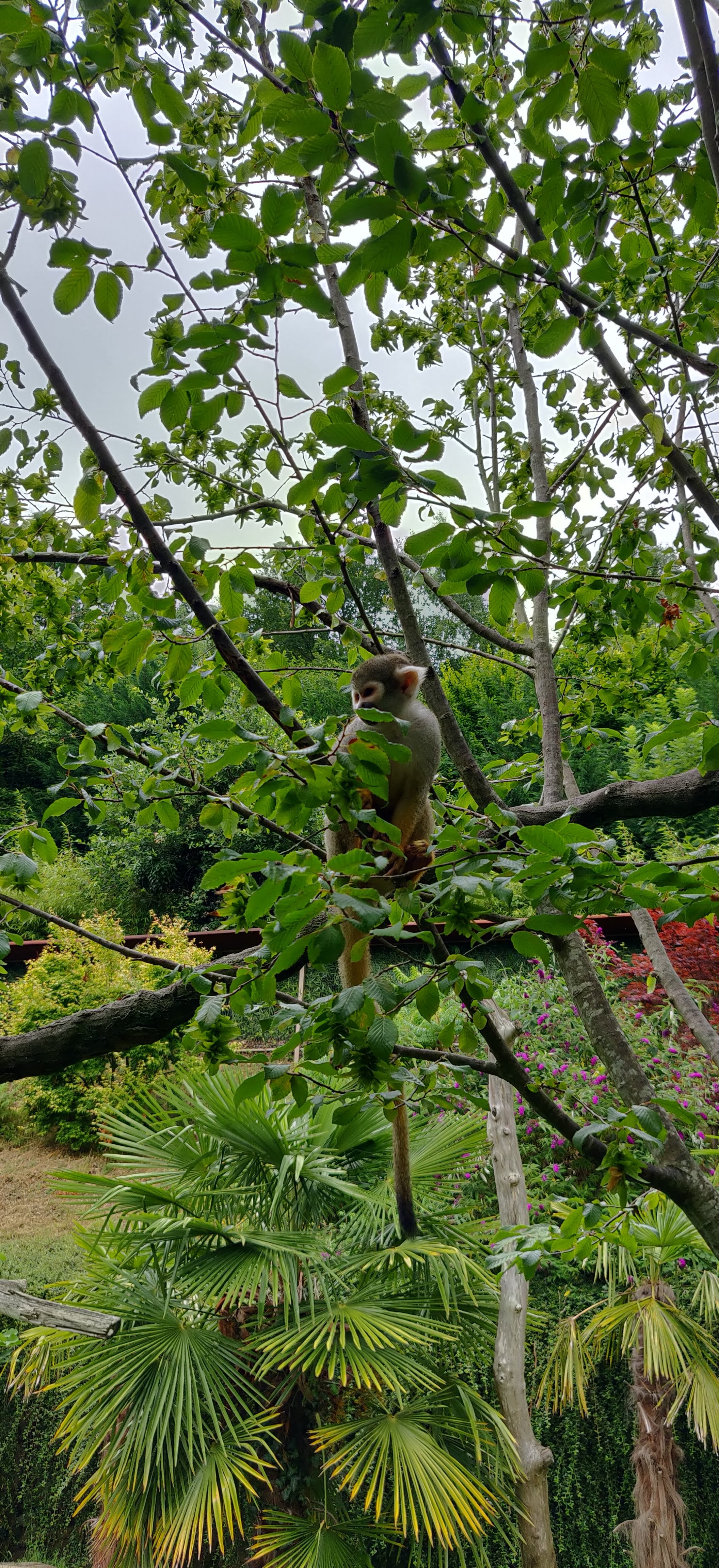 Photo n° 11 de l'avis de Frédéric.o fait le 15/11/2022 à 09:50