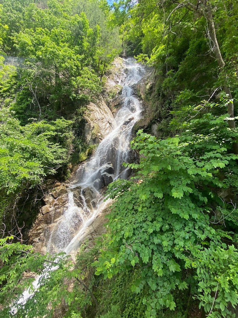 井戸入沢の滝