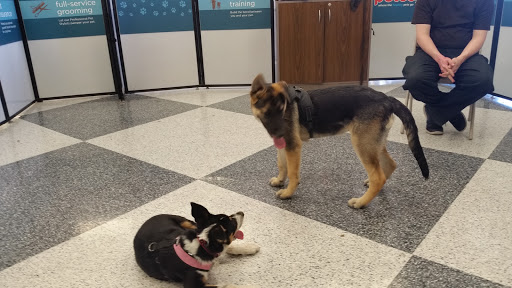 Pet Supply Store «Petco Animal Supplies», reviews and photos, 1835 E Guadalupe Rd #112, Tempe, AZ 85283, USA