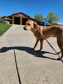 Tracy's Doggone Farm - Photo 3 - Car repair in Wadsworth, IL, Round Lake Beach