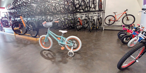 Bicycle Store «Bicycle World of Katy», reviews and photos, 24555 Katy Fwy, Katy, TX 77494, USA