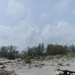 Photo n°4 de l'avis de Mirella.i fait le 23/04/2019 à 06:04 sur le  Rifugio Il Ghebo à Porto Viro