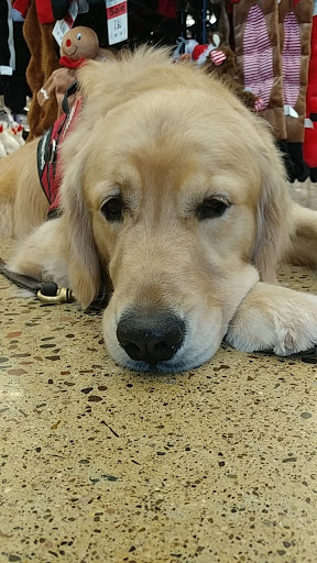 Pet Supply Store «Pet Supplies Plus», reviews and photos, 345 Willow Bend, Crystal, MN 55428, USA