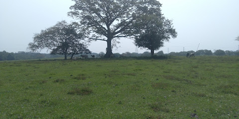 Escuela Primaria Sabino Ulin Lamoyi