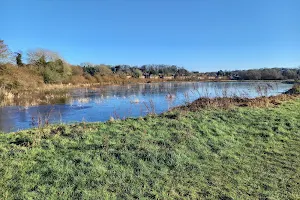 Bowthorpe Marsh image