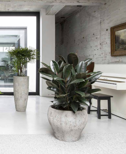 Florist «Red Square Flowers», reviews and photos, 337 W Mifflin St, Madison, WI 53703, USA