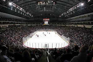 Hershey Bears Hockey at Giant Center image