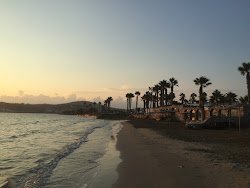 Livadia beach'in fotoğrafı ve yerleşim