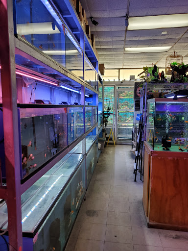 Pet Store «D D Fish & Pets», reviews and photos, 2413 S Fairview St, Santa Ana, CA 92704, USA