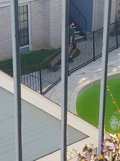 Moving and Storage Service «All My Sons Moving & Storage», reviews and photos, 10725 Interstate 35 Frontage Rd, San Antonio, TX 78233, USA