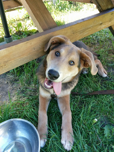 Cafe «Hill Valley Cafe & Coffee», reviews and photos, 3301 Central Ave NE, Minneapolis, MN 55418, USA