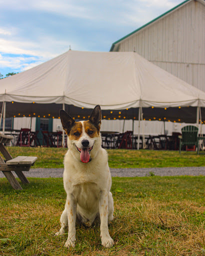 Winery «Hosmer Winery», reviews and photos, 7020 NY-89, Ovid, NY 14521, USA