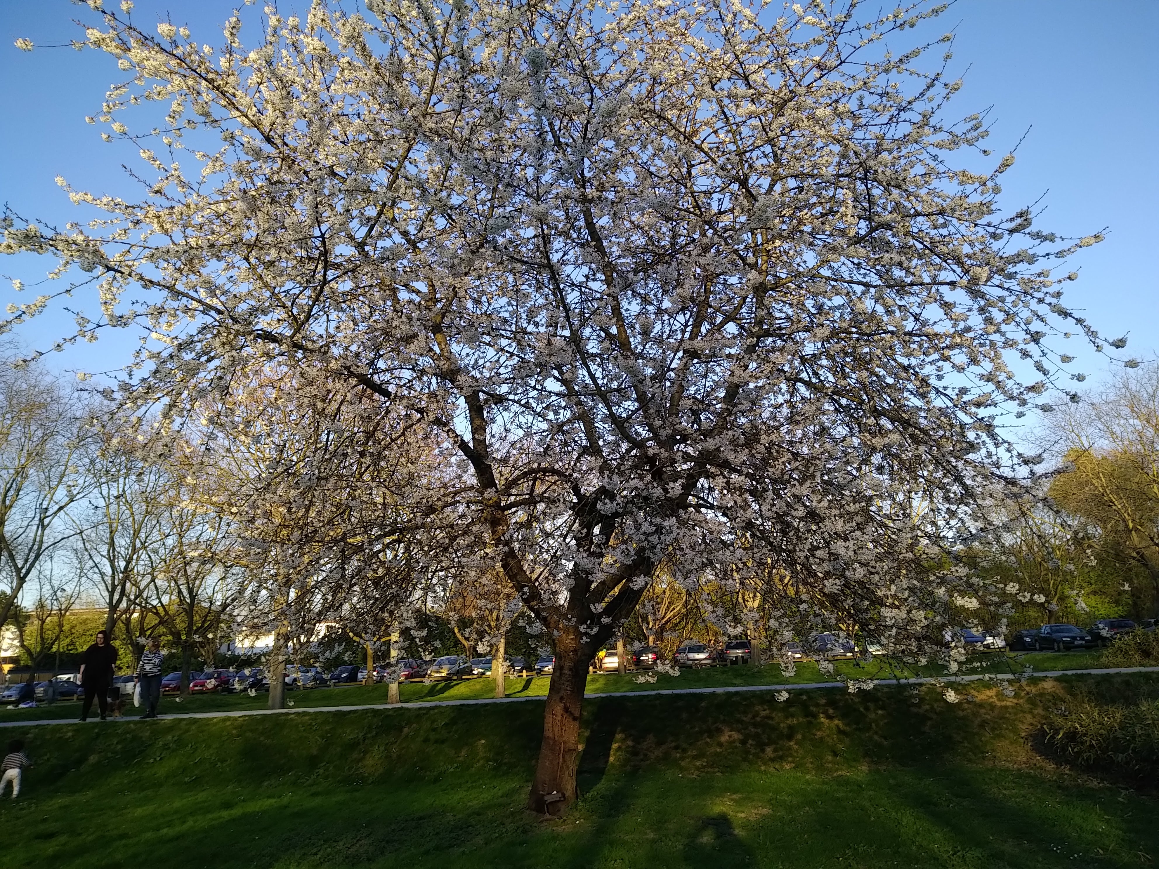 Photo n° 1 de l'avis de Quinson.r fait le 29/04/2019 à 10:32