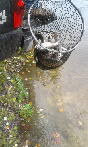 Fishing Store «Indian Creek Fishing & Fire Arms», reviews and photos, 3479 Mango Dr, Danielsville, PA 18038, USA