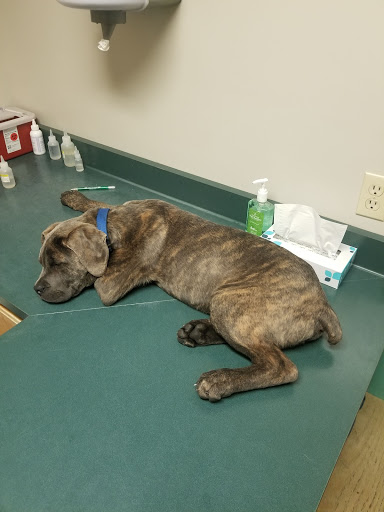 Wil-O-Paw Animal Hospital image