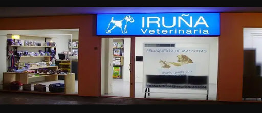 Clínica Veterinaria Iruña en Pamplona