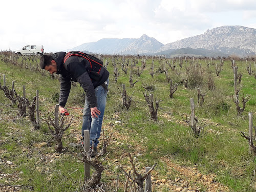 Domaine Pons Gralet à Estagel