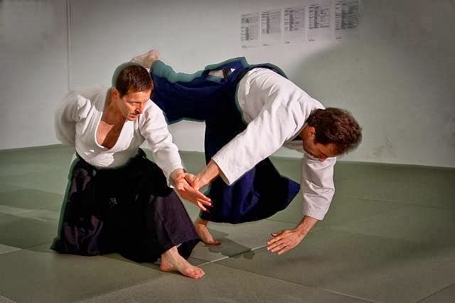 Rezensionen über Aikido Ikeda Dojo Zürich in Zürich - Sportstätte