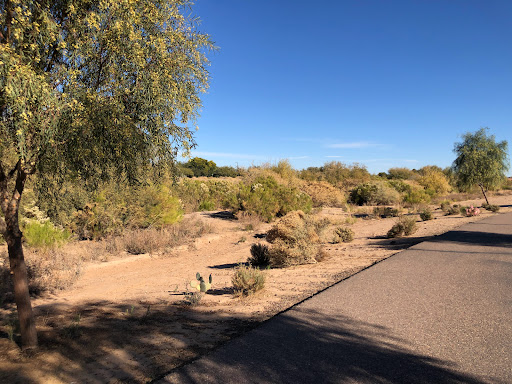 Queen Creek Wash Trail