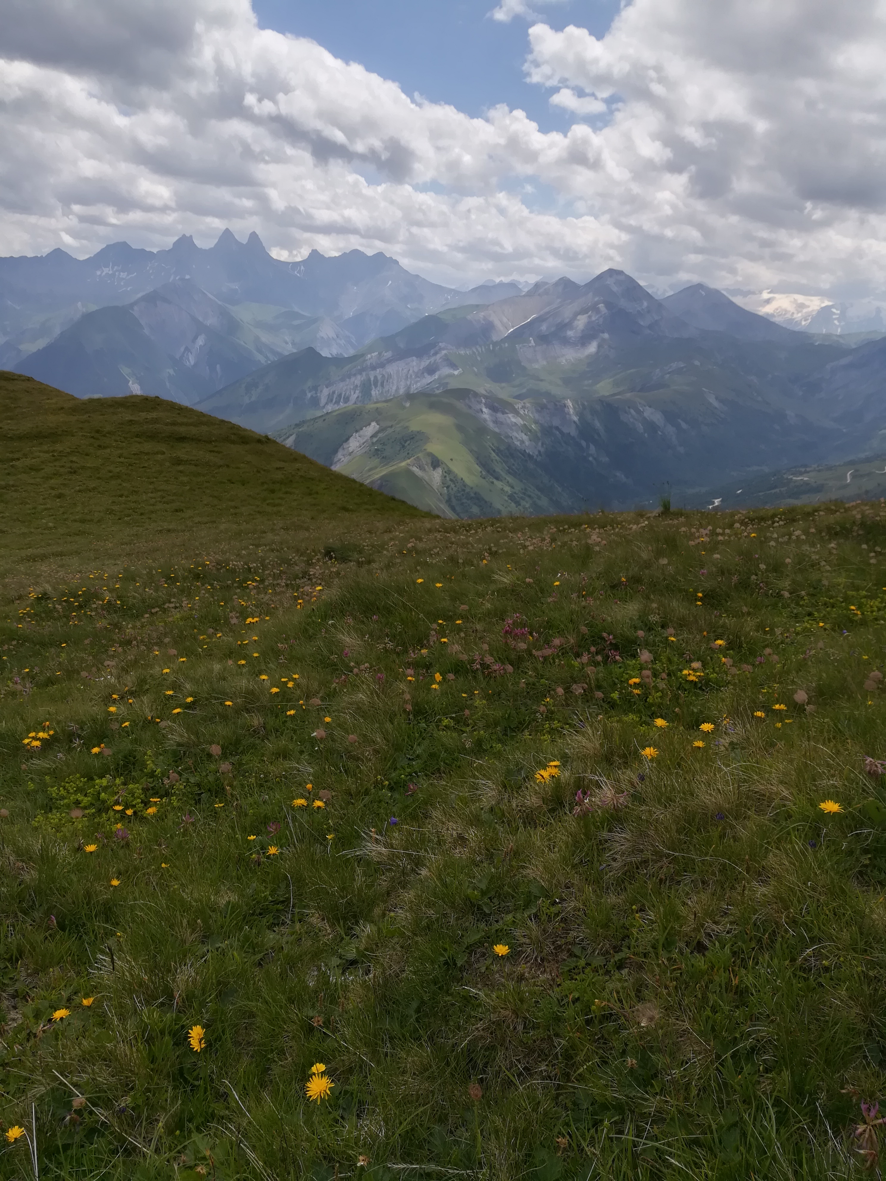 Photo n° 1 de l'avis de Faust.a fait le 28/07/2021 à 18:24