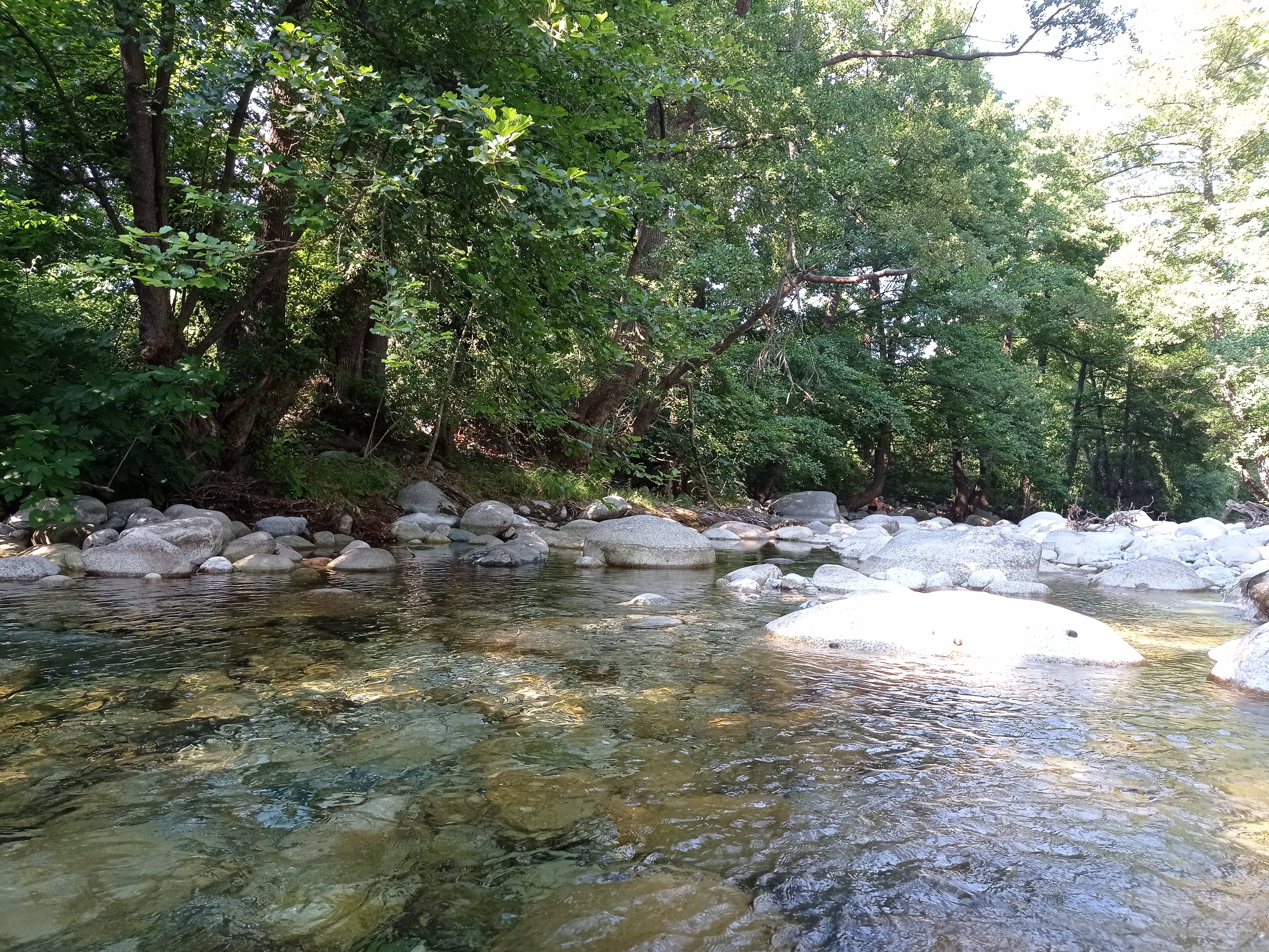 Photo n° 4 de l'avis de kevin.e fait le 22/07/2022 à 16:40