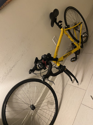 Bicycle Store «City Bike Tampa», reviews and photos, 208 E Cass St, Tampa, FL 33602, USA