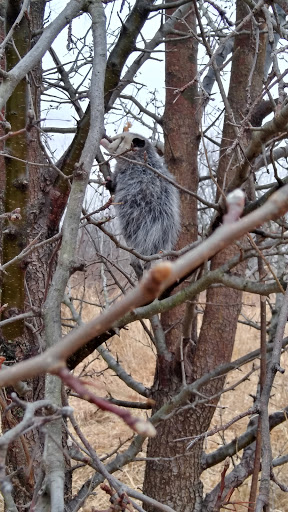 State Park «James Pate Philip State Park», reviews and photos, 2050 W Stearns Rd, Bartlett, IL 60103, USA