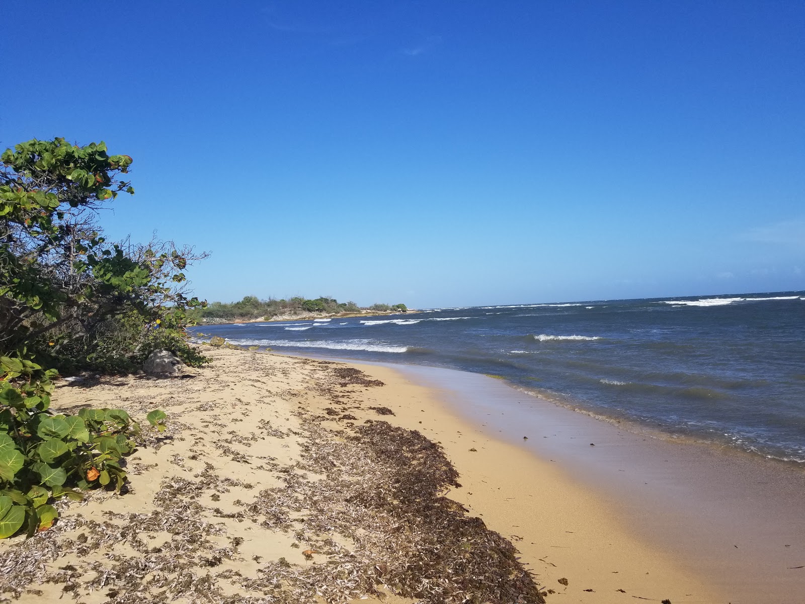 Photo of Playa Frontera with very clean level of cleanliness