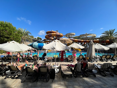 martı dalış merkezi