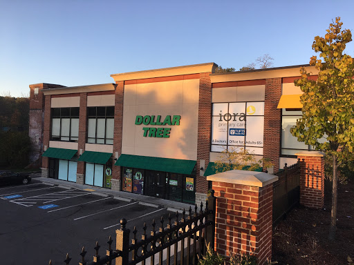 Dollar Store «Dollar Tree», reviews and photos, 912 River St Ste 100, Hyde Park, MA 02136, USA