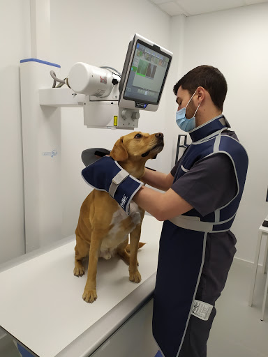 Clínica Veterinaria Meu Vet en Cambados