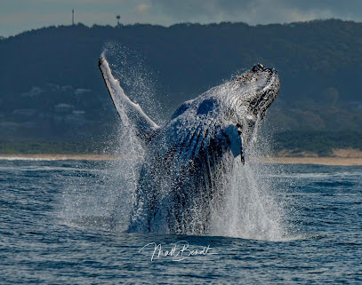 Terrigal Ocean Tours