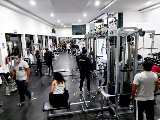 Mega Gym Fitness & Training CDMX