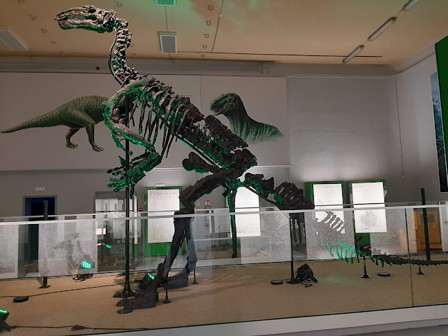 Beoordelingen van Musée de l'Iguanodon in Charleroi - Museum