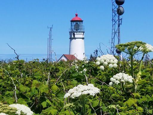 Lighthouse «Cape Blanco Lighthouse», reviews and photos, 91100 Cape Blanco Rd, Port Orford, OR 97465, USA