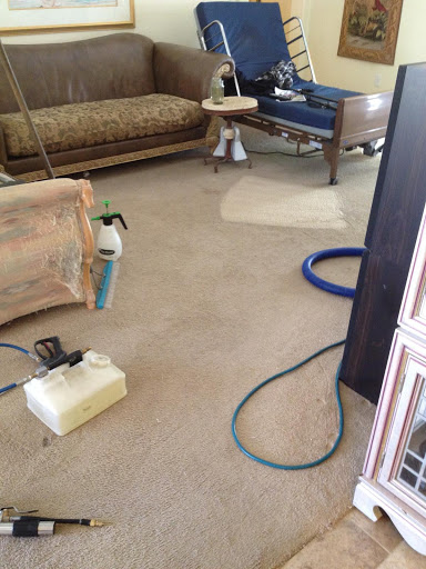 Vallejo Eco Green Sofa & Carpet Cleaners Company