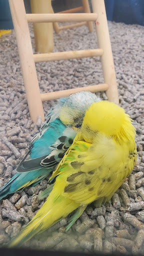 Pet Supply Store «Petco Animal Supplies», reviews and photos, 2140 E Blvd St, Kokomo, IN 46902, USA