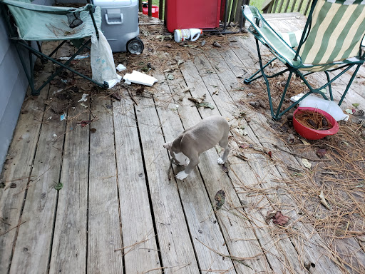 Home Improvement Store «The Home Depot», reviews and photos, 11075 Tara Blvd, Lovejoy, GA 30250, USA